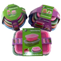 Collapsible Space Saving Products - 10 Piece