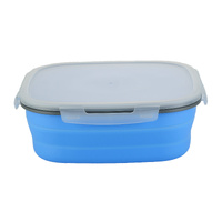 Collapsible Silicone Cake Storage Container